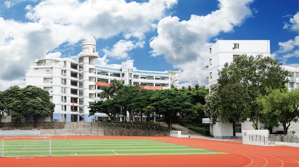 在一个本科率99.8%的学校读书是什么体验