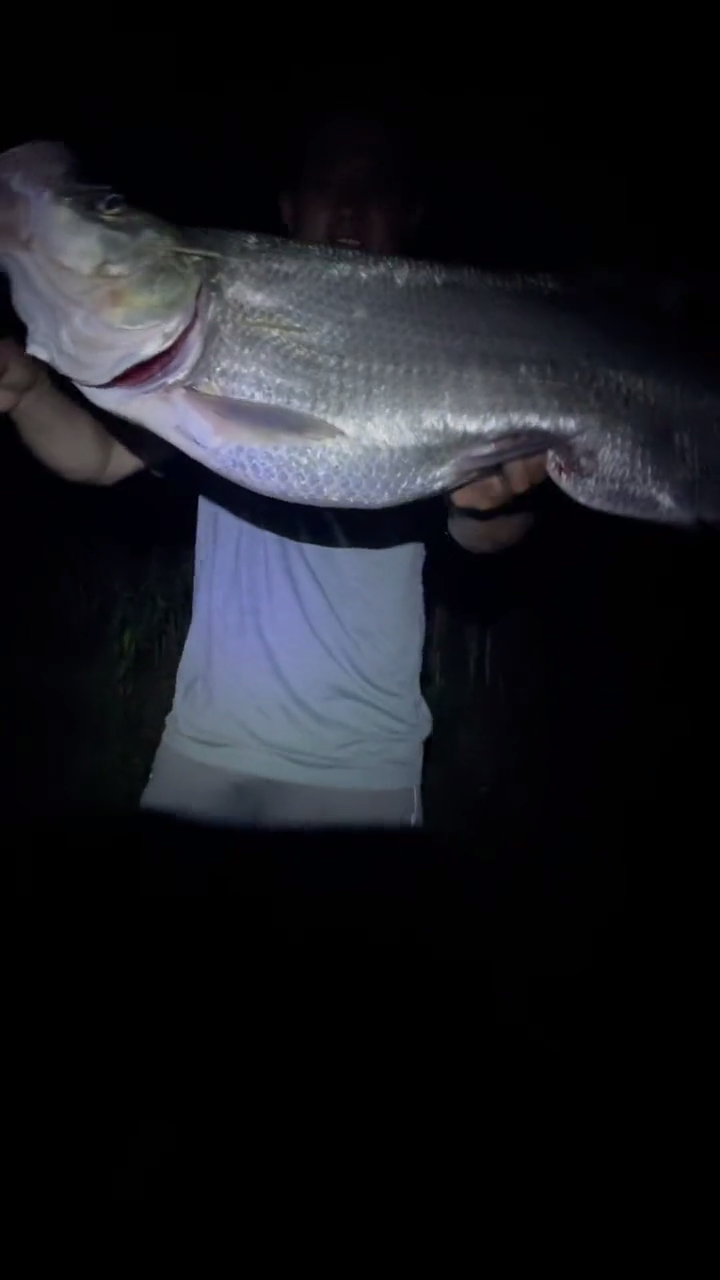 快过来……海南钓鱼人发现受伤翘嘴鱼,竟直接将鱼"喊"上岸