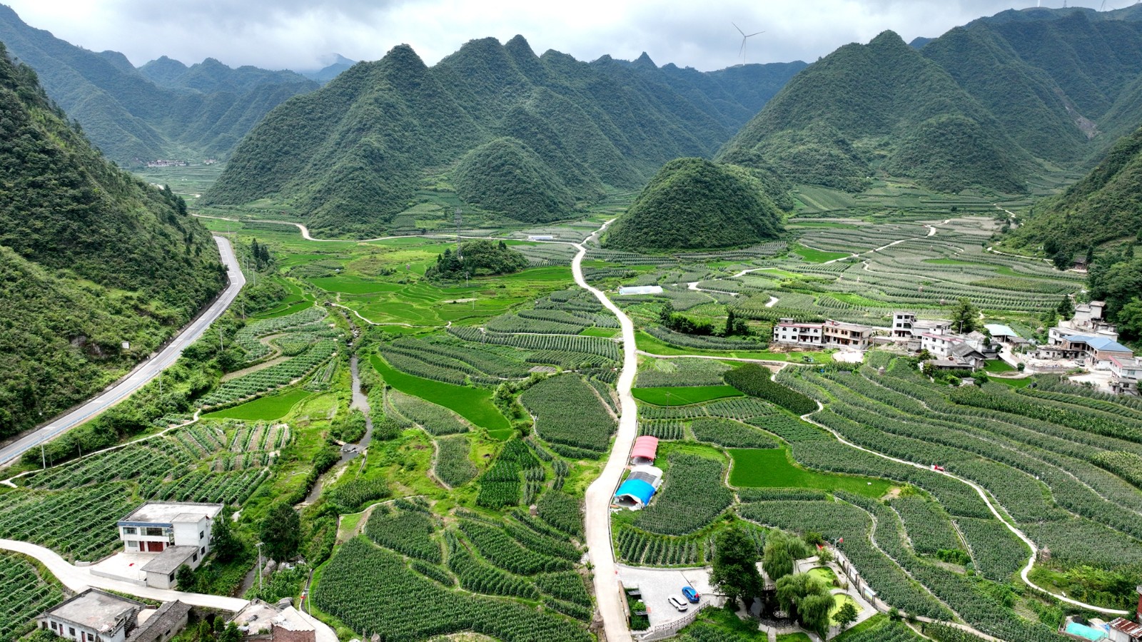 麻江:经纪人搭桥 助力产销旺