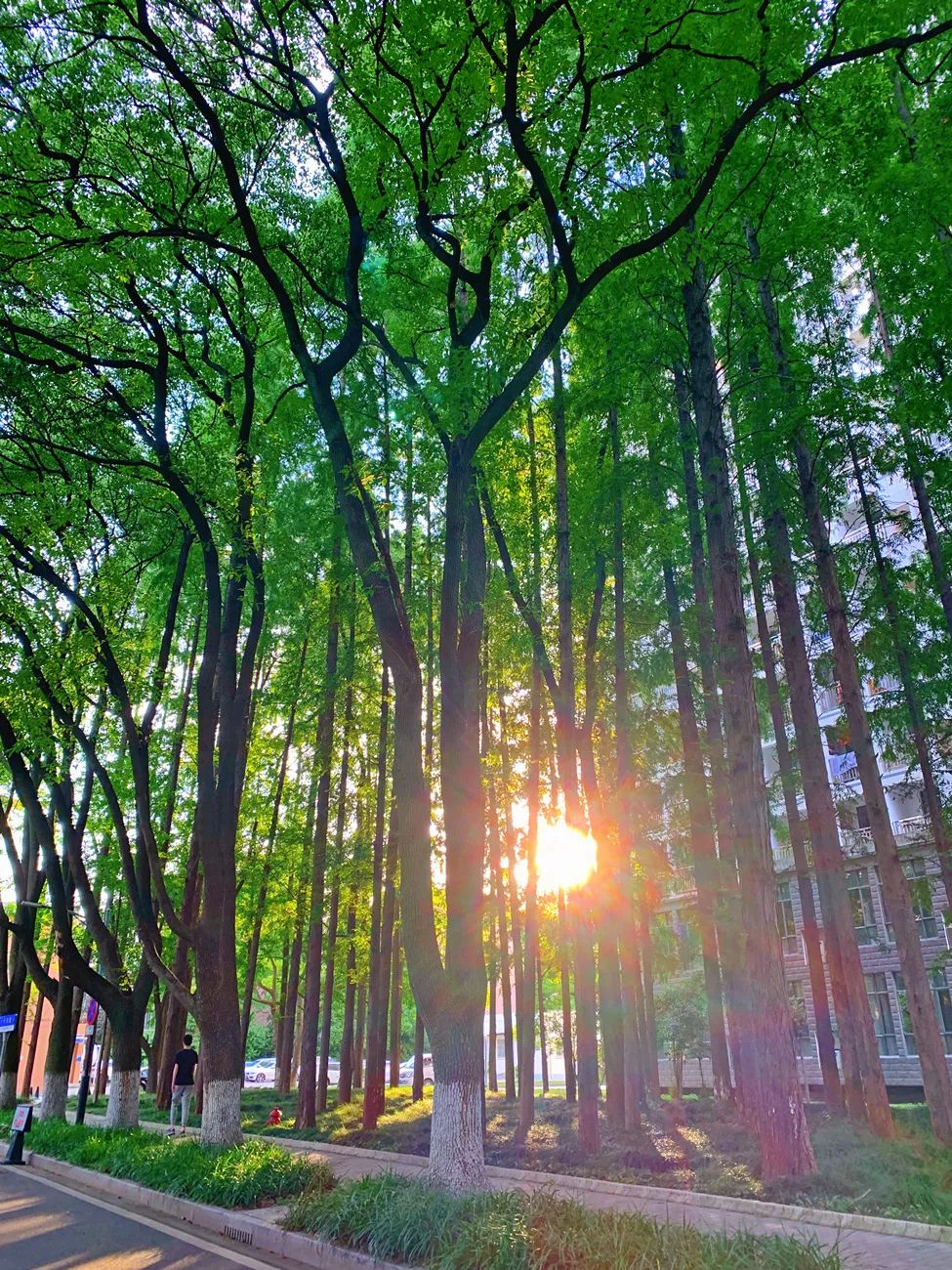 快来,捕捉ecust心动瞬间