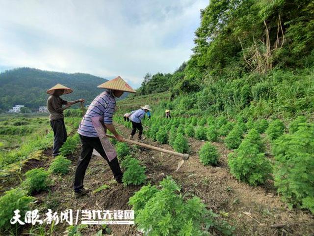 平塘县牙舟镇场坝村:不负好时光 村民管护忙