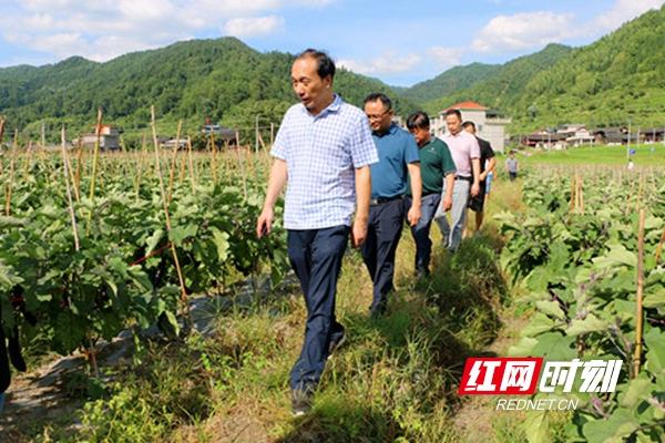 城步:杨博理深入白毛坪,兰蓉督导脱贫攻坚和河长制工作