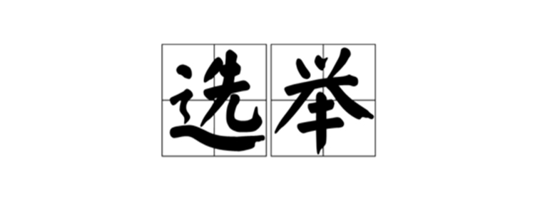 2021年村委选举法