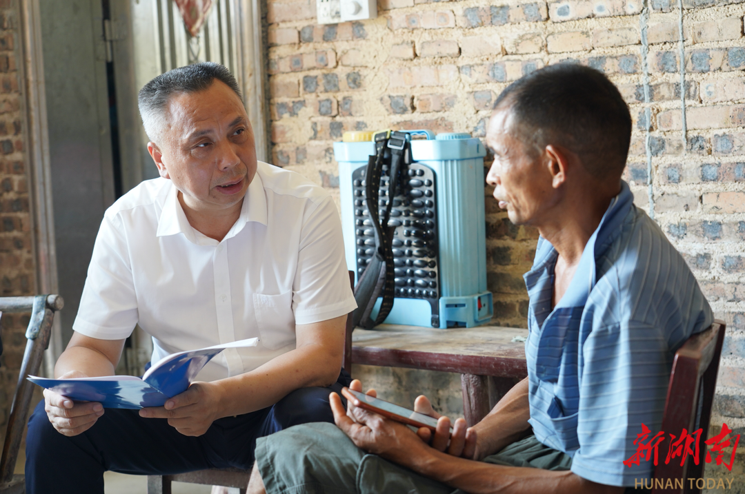 彭石清赴金凤村调研乡村振兴工作