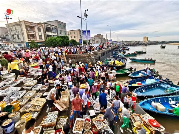 湛江海鲜码头图片