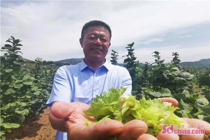 担当作为好支书13|王金成:塑造乡村建设的"瓦泉模式"