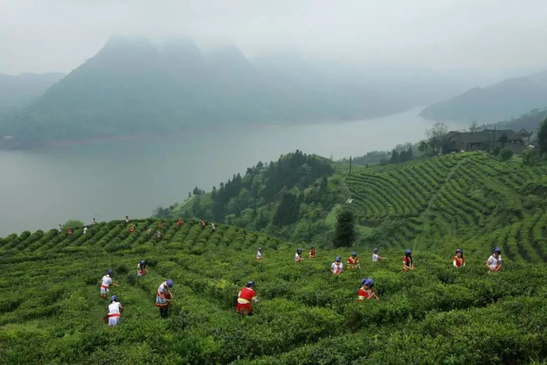 怀化景点自驾车旅游图片