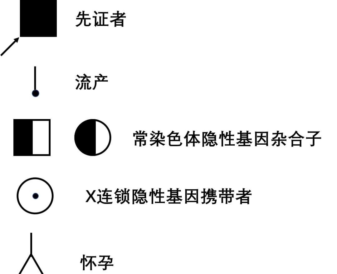 八下生物遗传图解
第2张
八下生物遗传图解
第2张