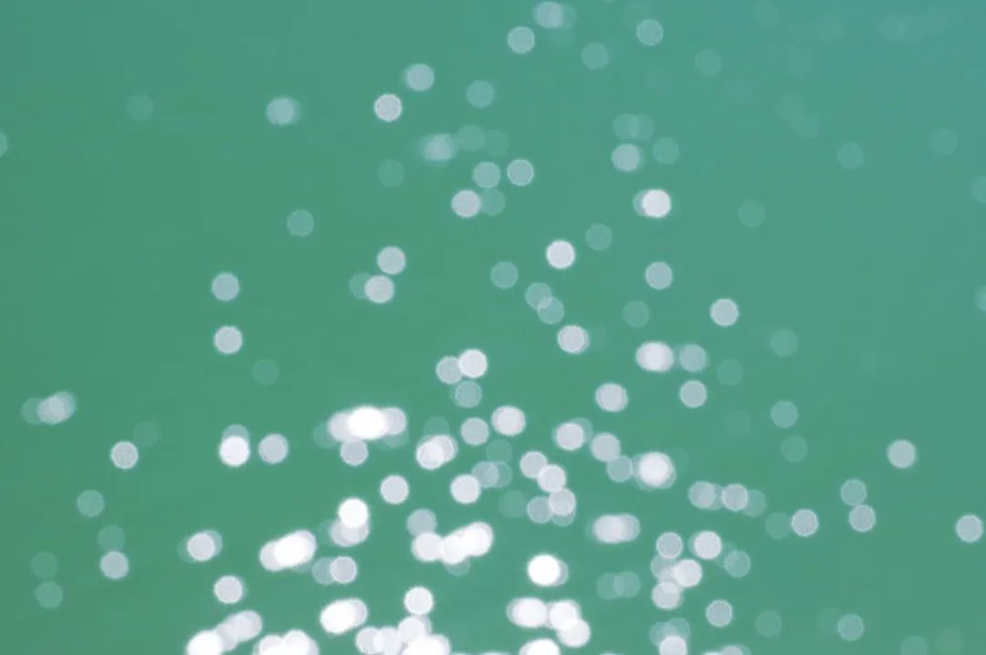 voyage │ 逝川与流光,飘忽不相待