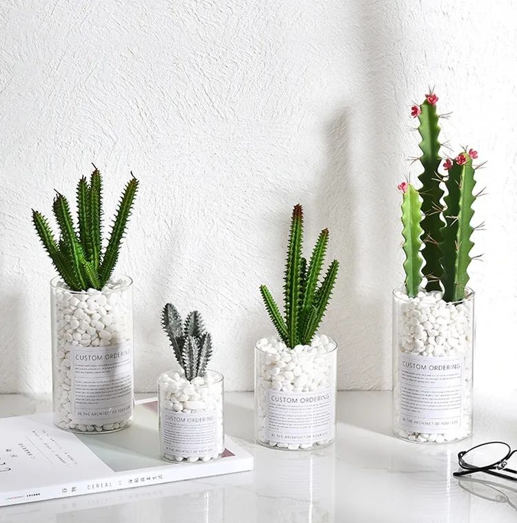 盘点那些年的ins风绿植,拿捏住了!