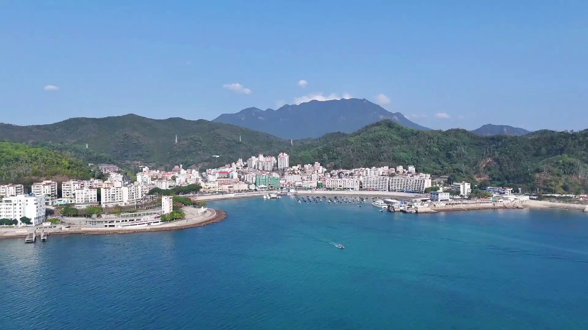 大鹏新区南澳海胆正肥美上市!