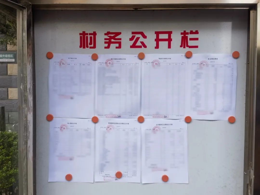 "阳光村务",让奉贤村级事务在阳光下运行