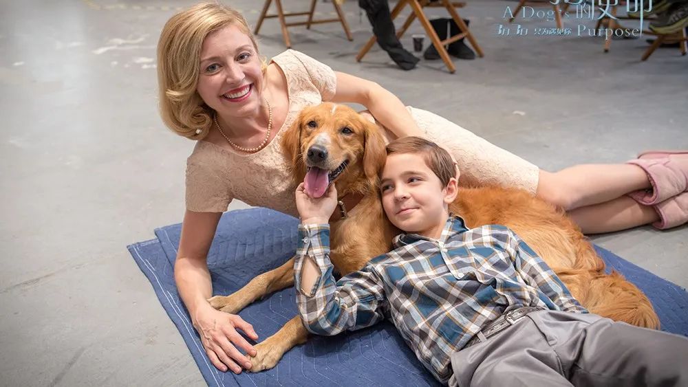 call it a day 不是"叫它一天",90%的人都翻译错了!