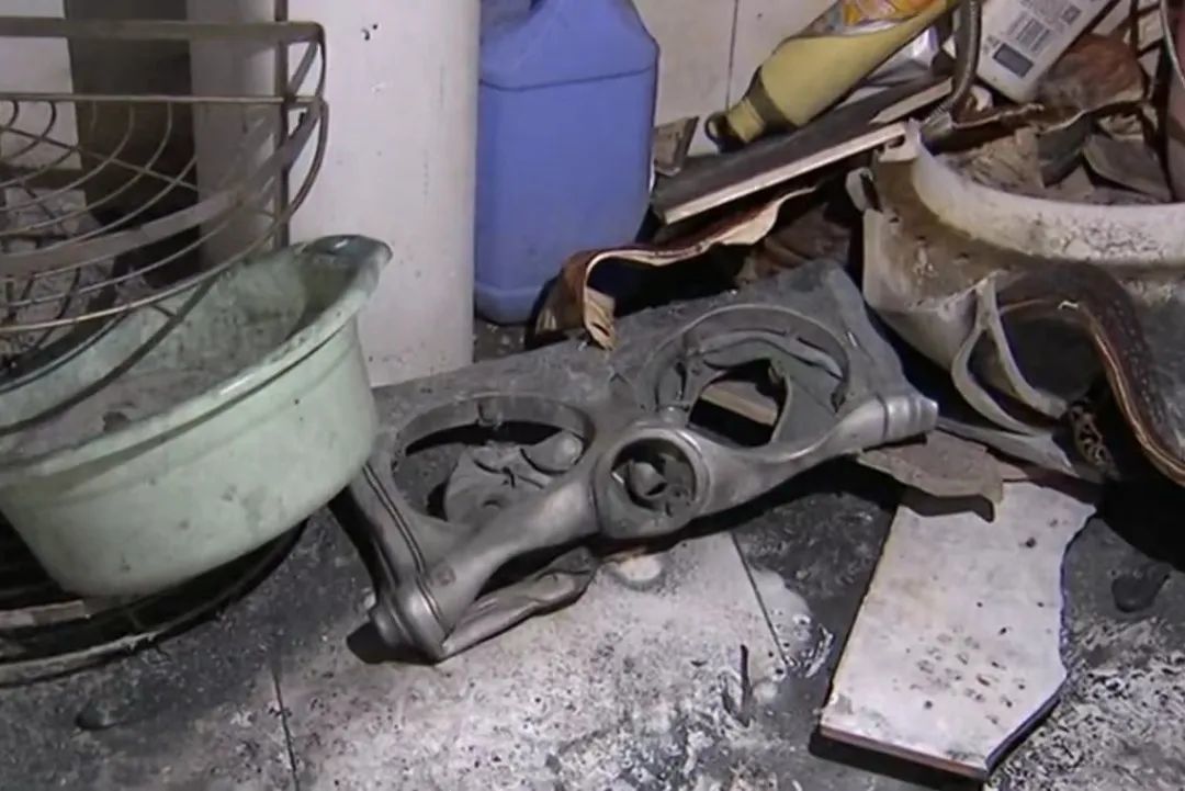 深夜杭城一住户痛悔:真不该把它带回家