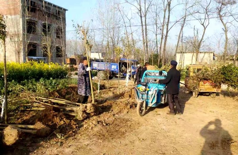 蒙城县小涧镇狼山村:"邻长"助力美丽乡村建设 打造"幸福之路"