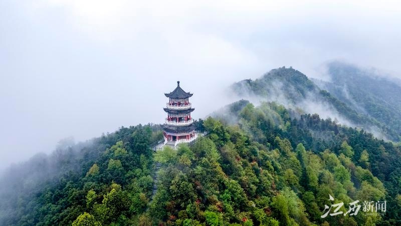 新余:百丈峰云雾缭绕似仙境