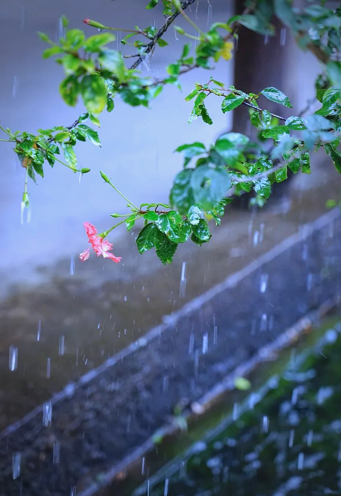 中国雨景:探寻众多雨的名字与故事