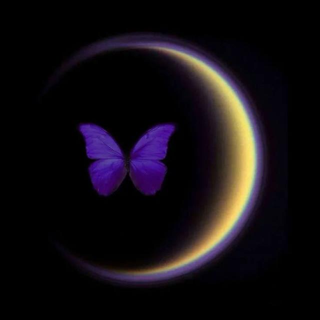 2022年下半年之后就不再更新了,所以目前留下的无非只是发布音乐作品