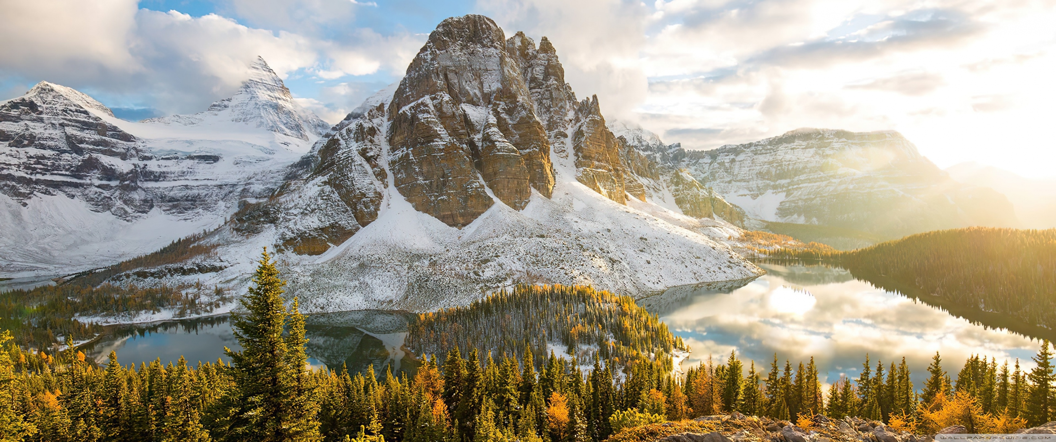 创新药资本寒冬即将结束