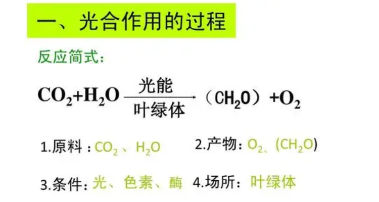 光合作用公式 概念图图片