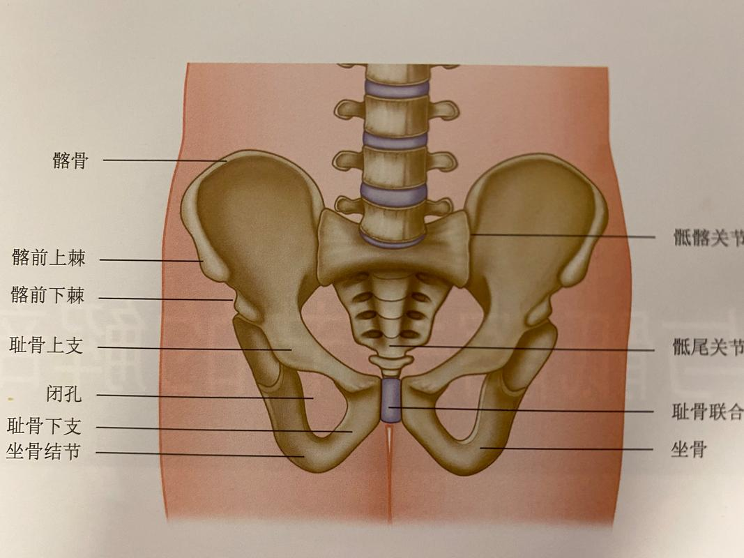 从深度放松到能量激活:阴瑜伽的奥秘与益处
