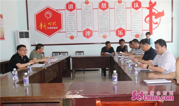 滨州沾化区委常委,区委办公室主任孟霄到泊头镇调研软弱涣散村党组织