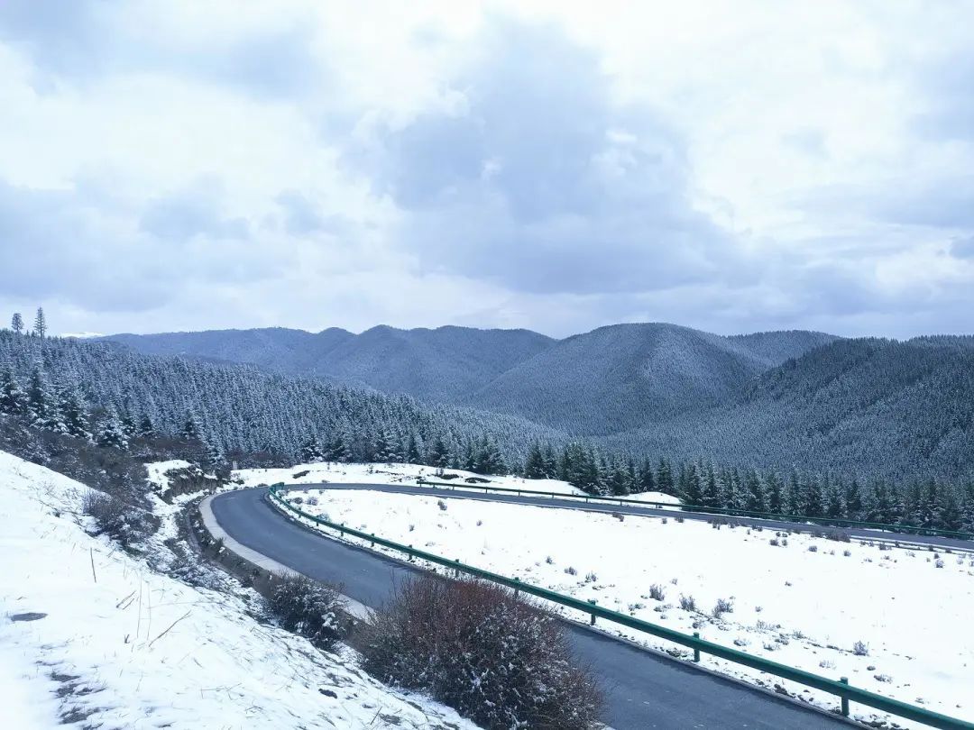 絲路馬都 五彩山丹——夏日