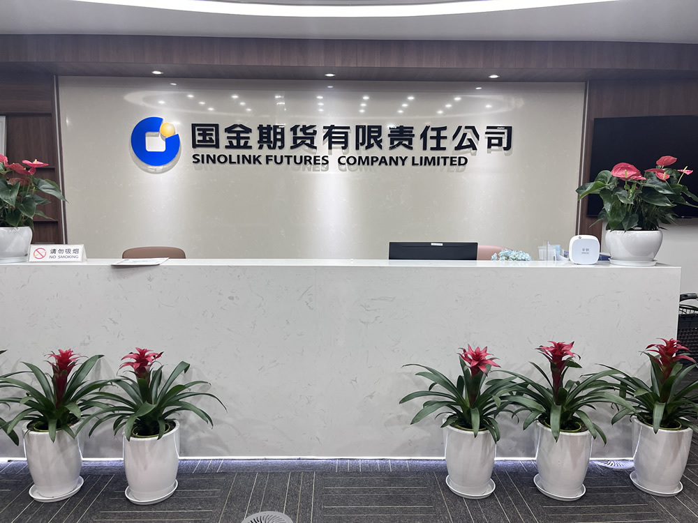 国金期货:专业,高效,可靠助力金融强国战略