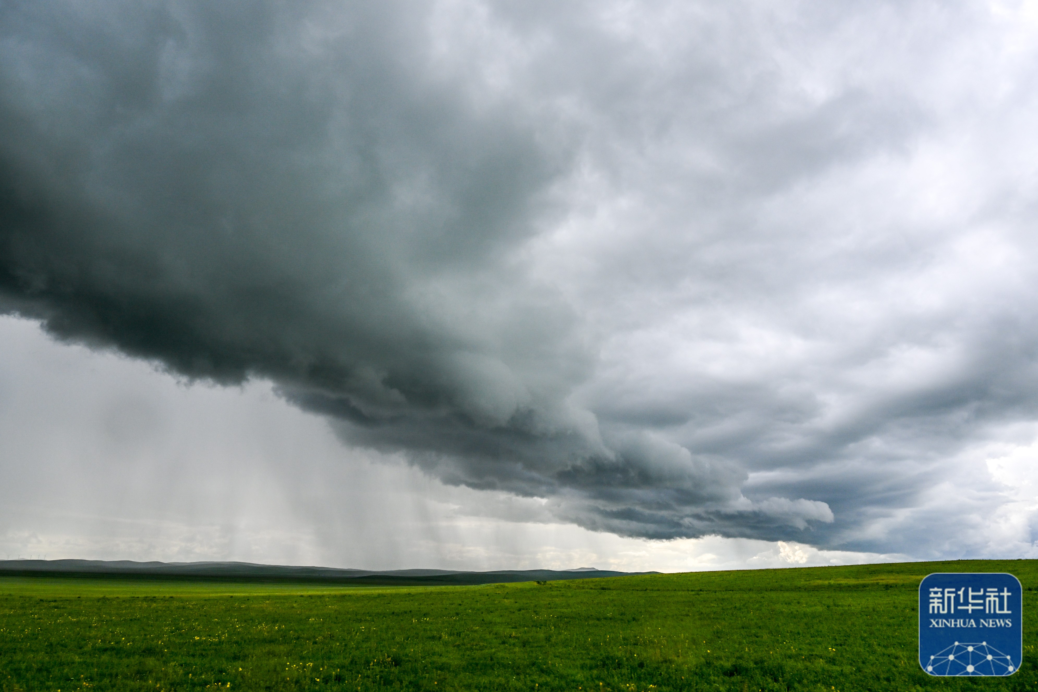 美丽中国丨夏日额仑草原