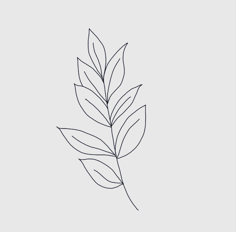 用线条交织出一片生机盎然的树叶世界