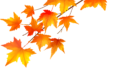 374_269gif 动态图 动图