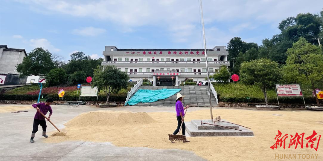 衡阳县石市镇:敞门给农民晒谷