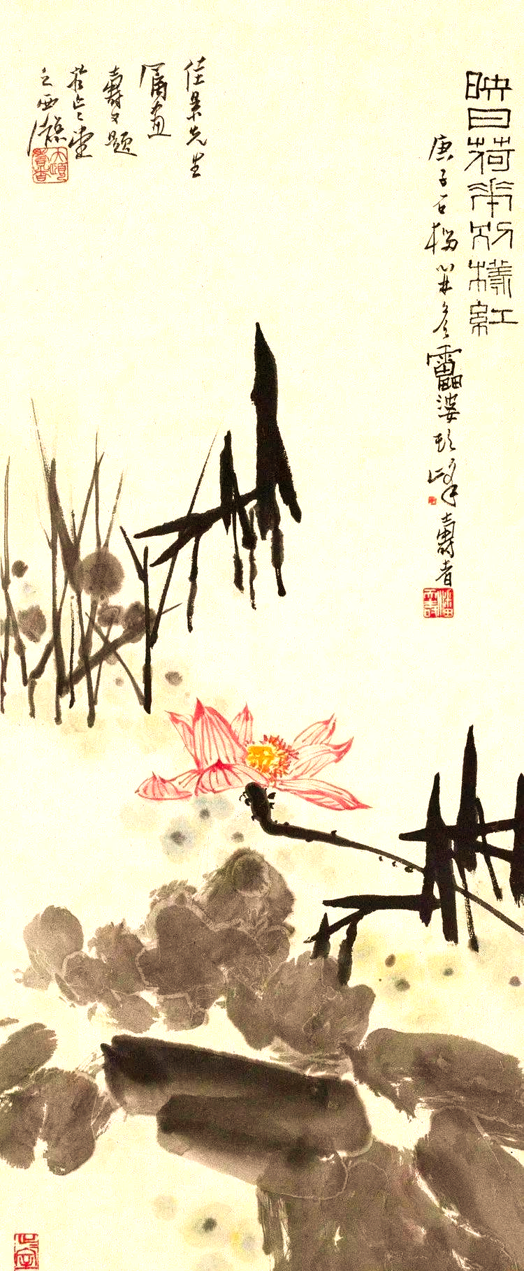 潘天寿的荷花作品欣赏:风华正茂,笔触细腻