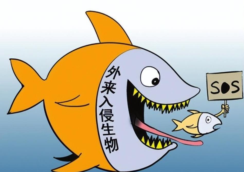 我国花5000亿发展南水北调,却成生物入侵高速路,该如何阻止?