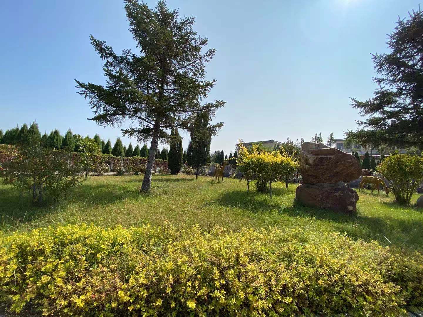 沈阳天台山墓园简介