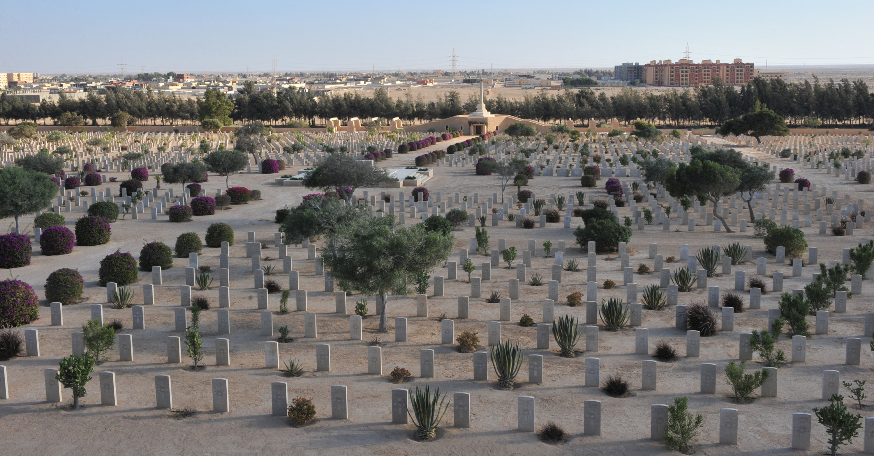 贡献与牺牲的见证——走访埃及阿拉曼军事博物馆