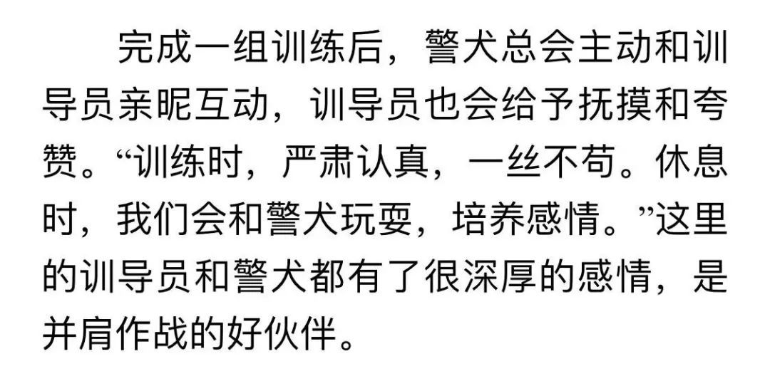 高大威猛的萌寵?這個假期,汪汪隊立大功!