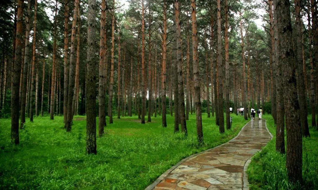 春风十里,不如长春"花式"宠你!