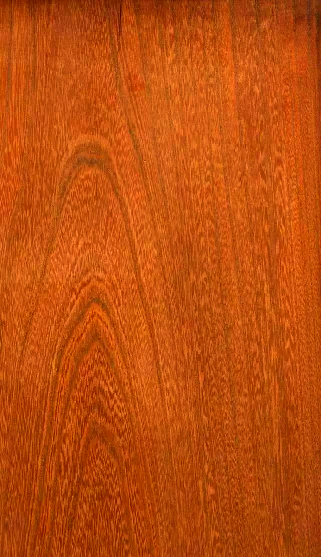 榉木:未曾没落的硬木之选