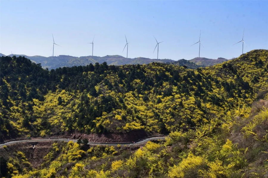 长子发鸠山图片美景图片