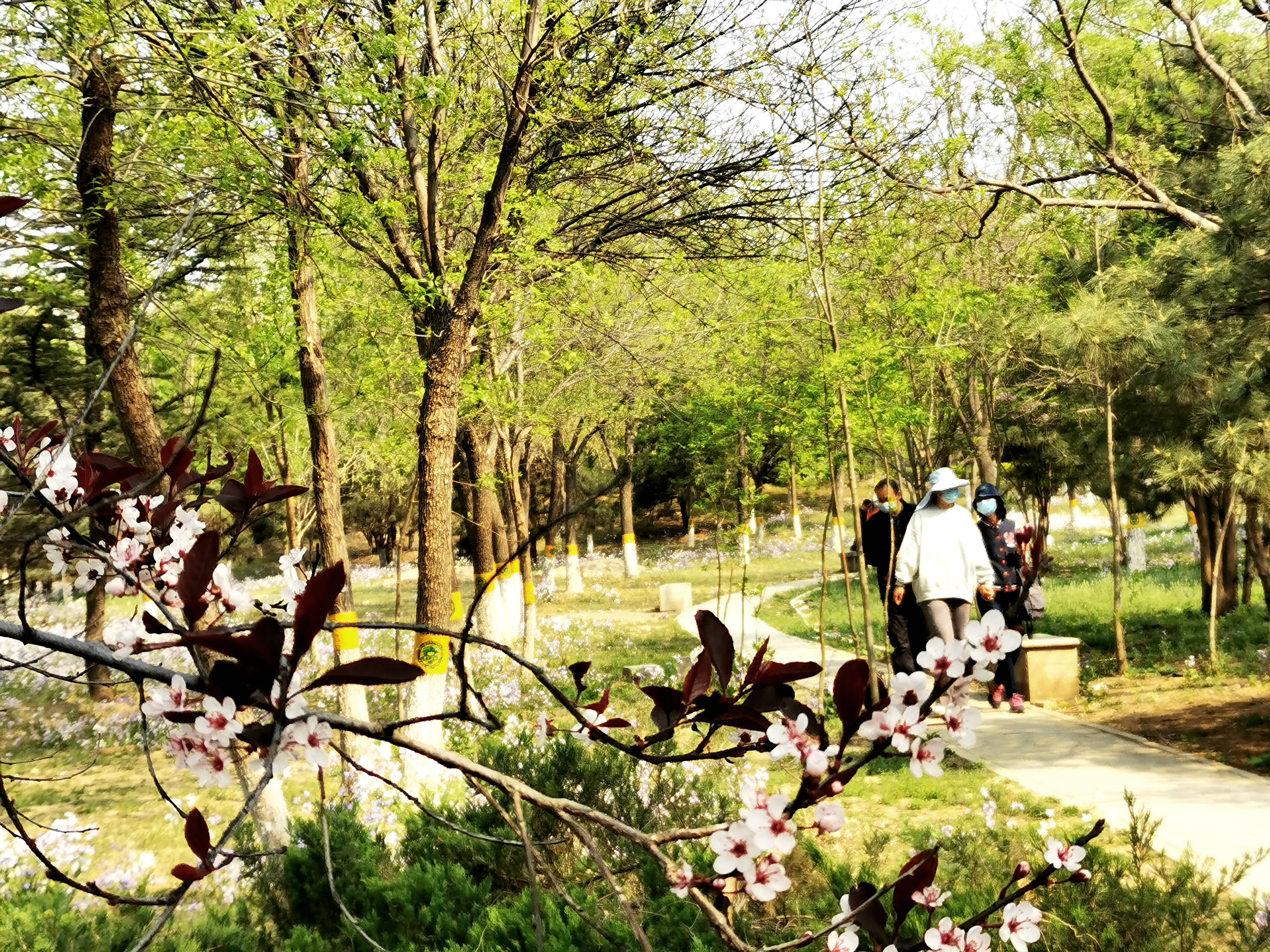 丰台百姓家门口的公园——绿堤公园