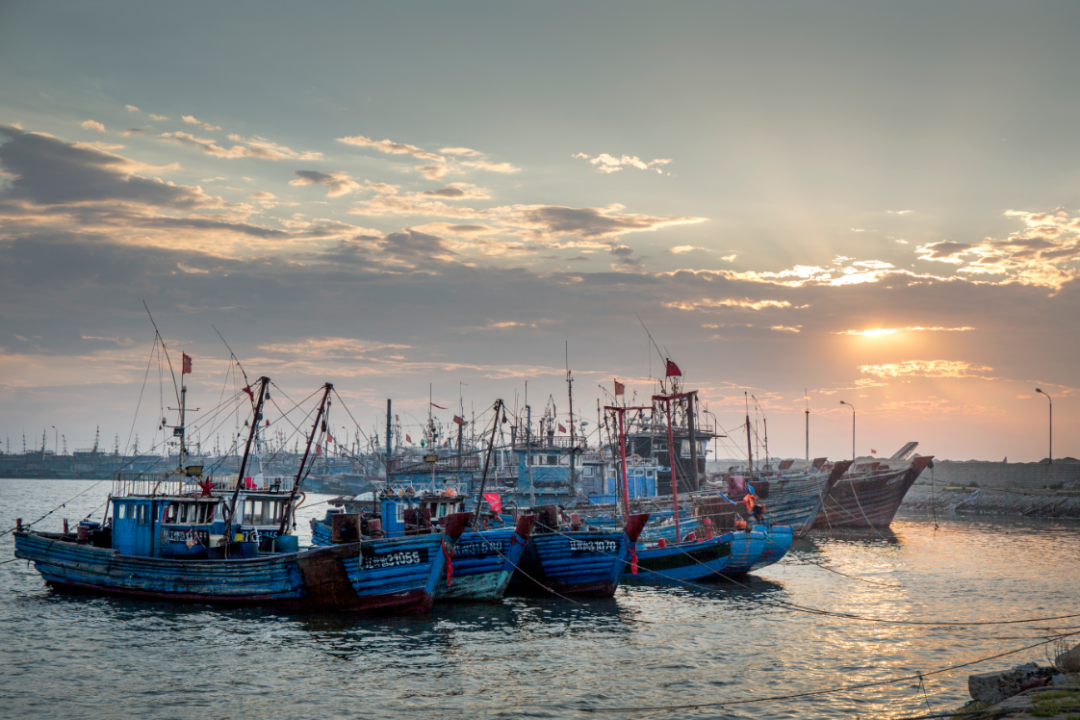 这个夏天久等了,来鲅鱼圈看海吧!