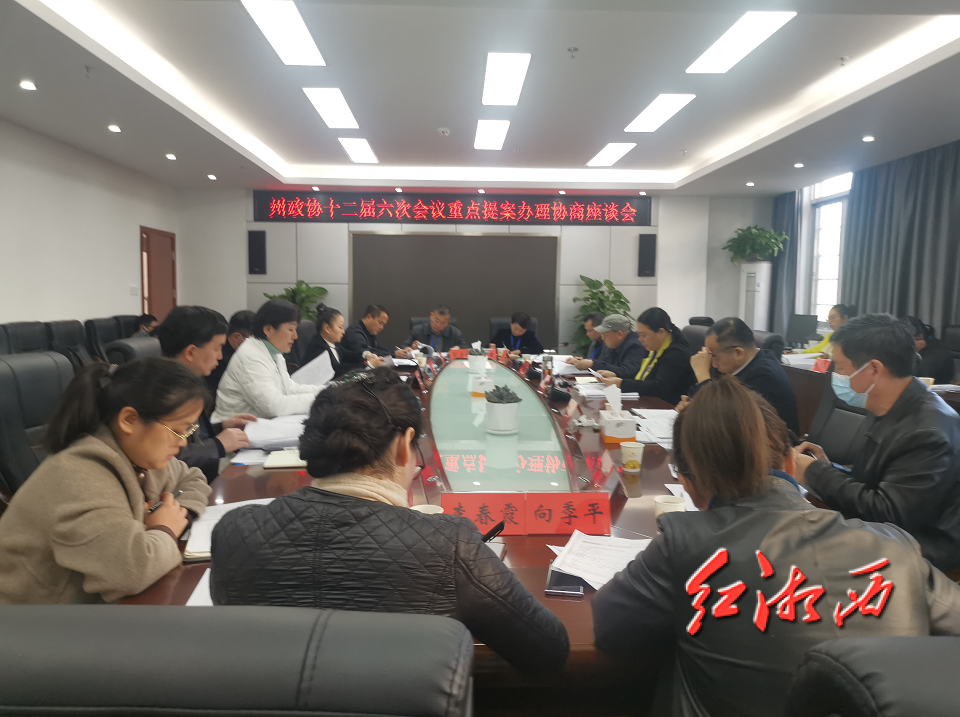 吴凌频向顶天督办湘西州政协重点提案