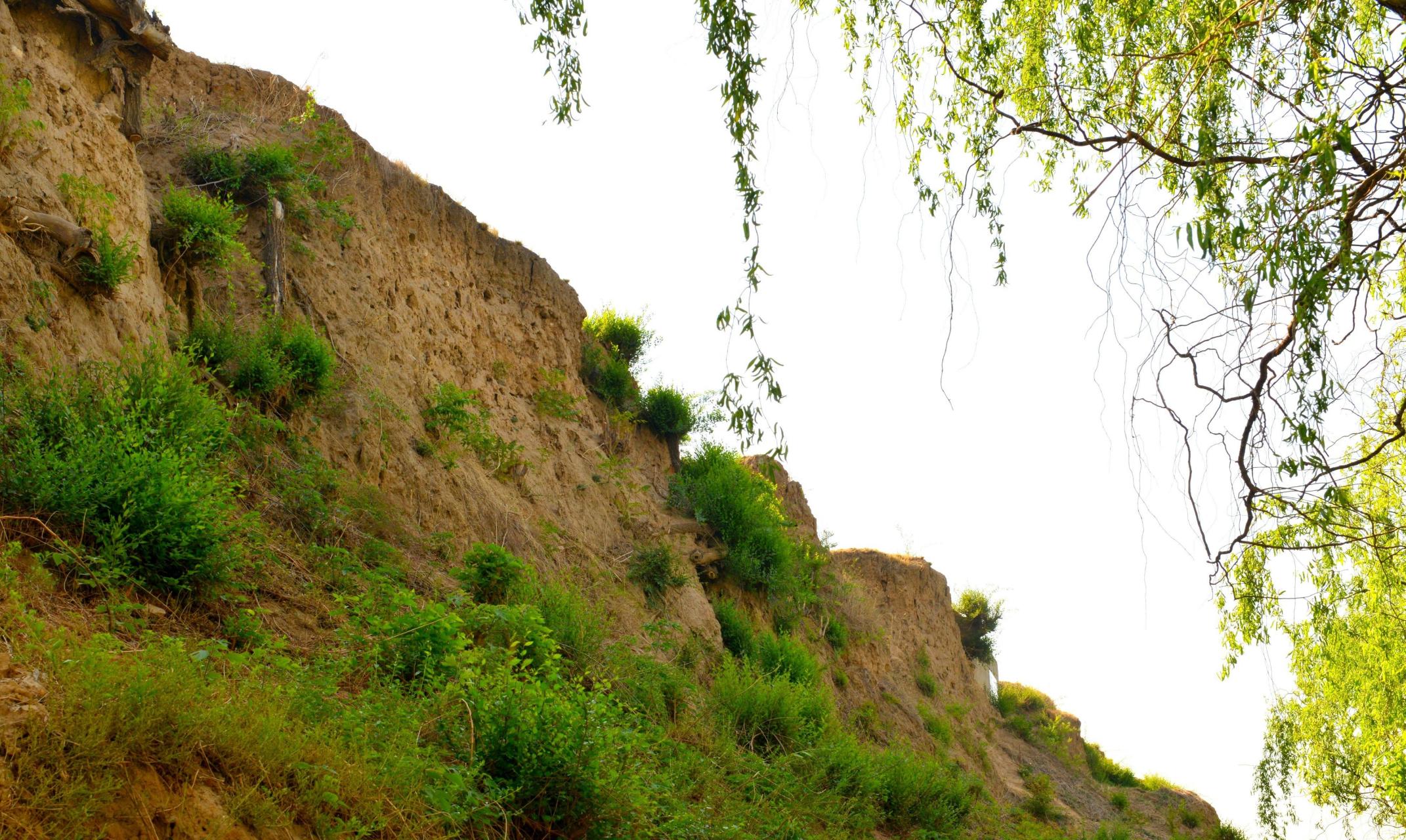 涿州古城遗址位于河北省涿州市北关华阳公园以南,远望只是一大条高大