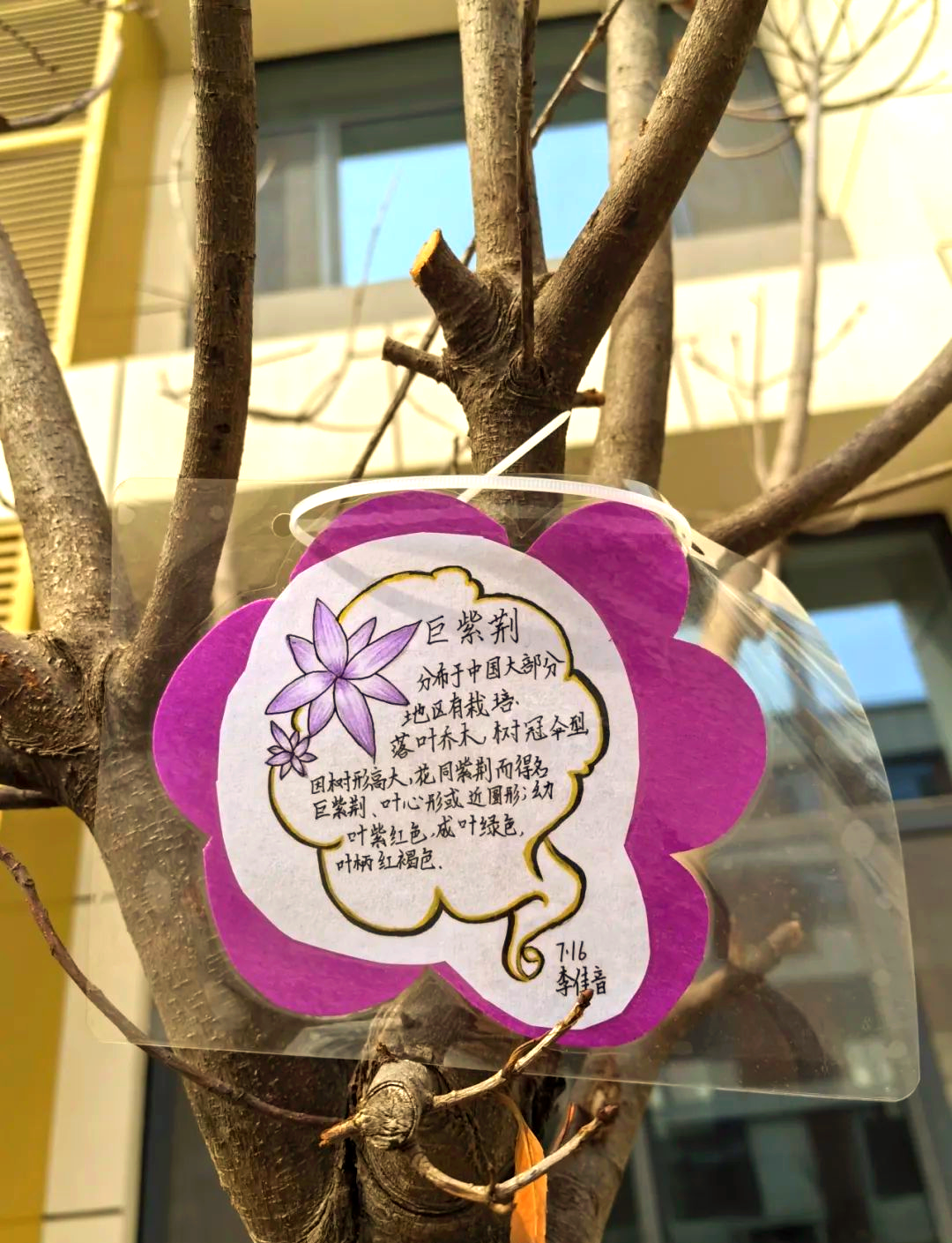 春日里,画笔下的绿色生机勃勃,名牌上的树木仿佛跃然而出