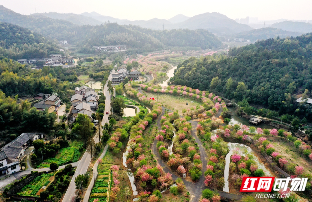 寻找中国式现代化村庄模样丨湘潭七星村:目之所及皆为画 景美民安产业