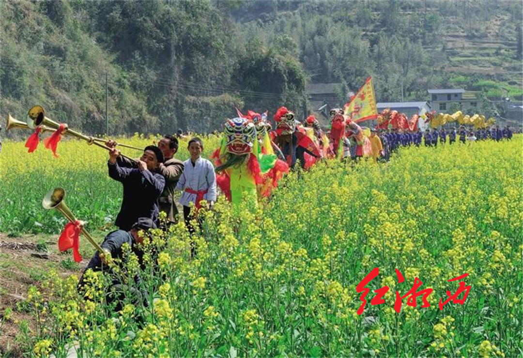 你好春天桃李春风花事如期