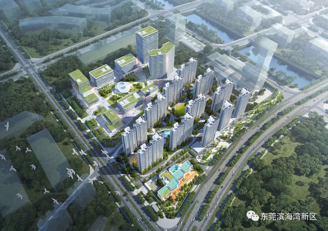 配套人才公寓,东莞滨海湾小天才项目一期厂房计划年底封顶
