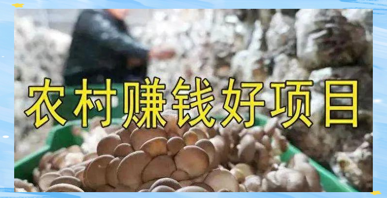 致富投资创业项目(致富投资创业项目介绍)