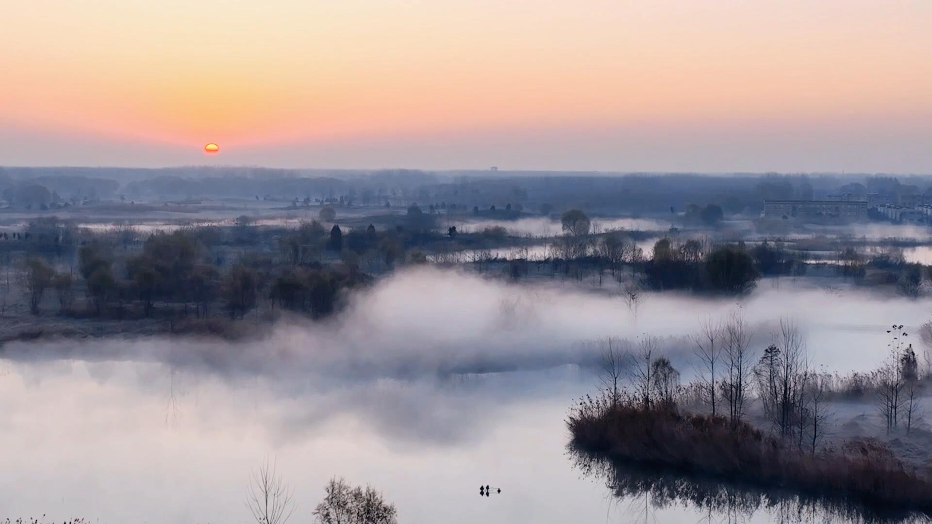 诗画山东|如梦似幻!一幅水墨画"挂"在微山湖湿地